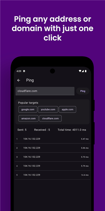 Vernet - Network Analyzer screenshot5