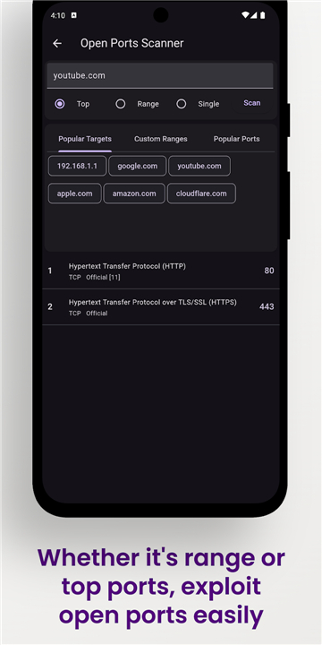 Vernet - Network Analyzer screenshot6
