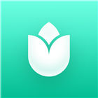 PlantIn Plant Identifier, Care