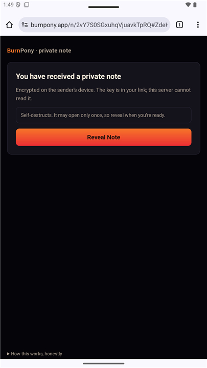 BurnPony — Burn After Reading screenshot4